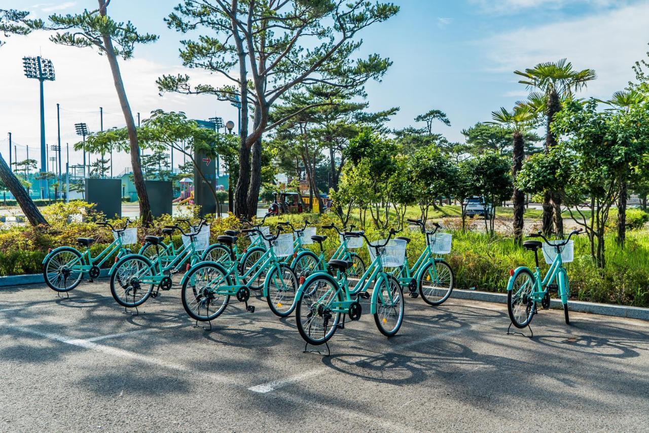 Namhae Sports Park Hotel エクステリア 写真